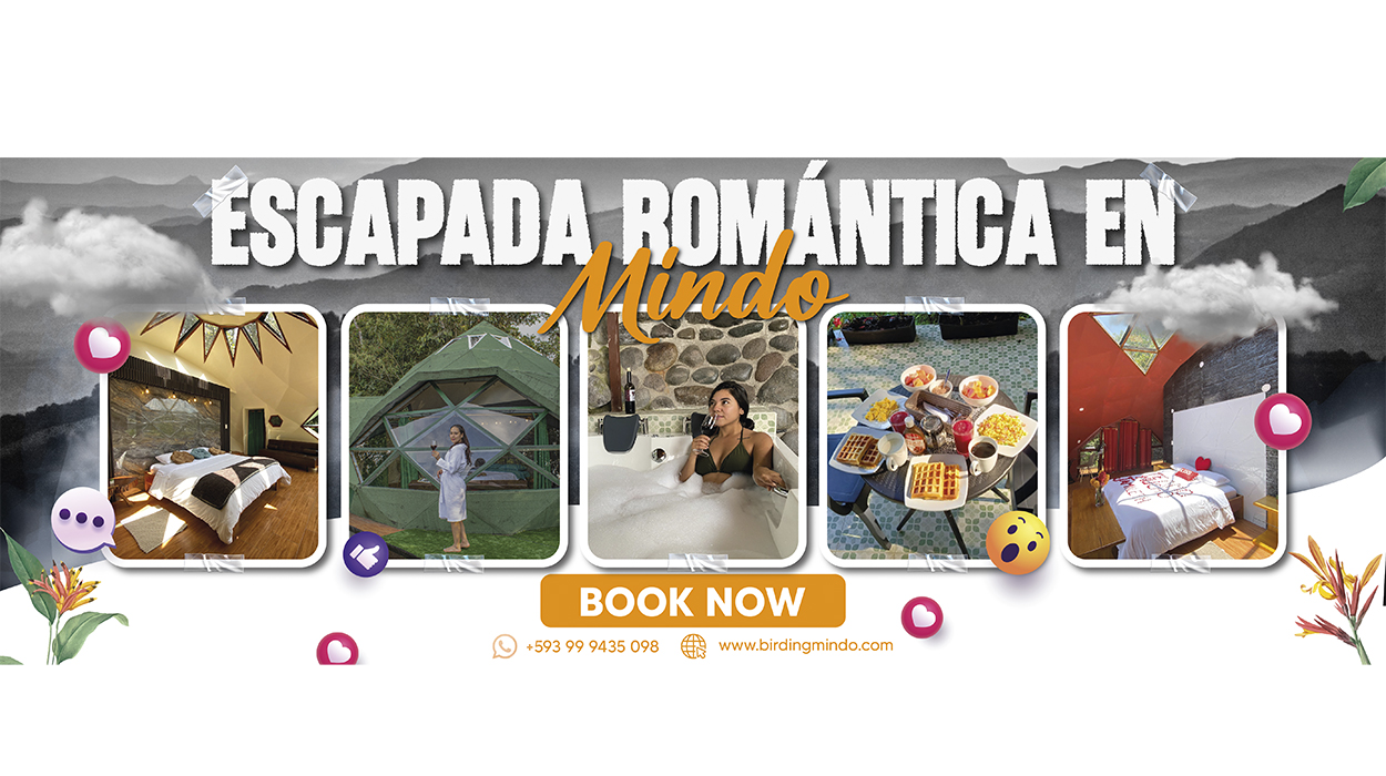 Cabañas Armonías y Jardín de Orquídeas - Banner