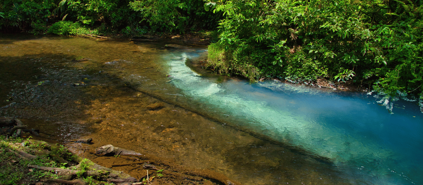 House Rio Celeste Paradise - Banner