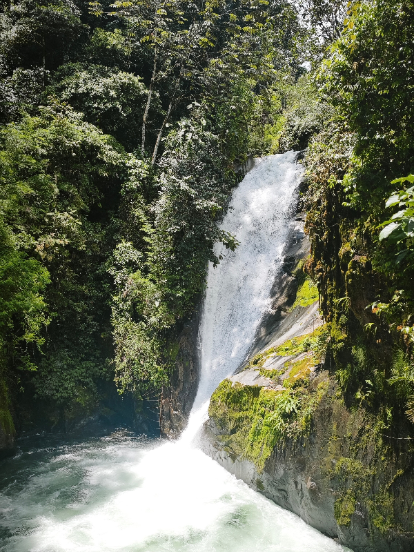 Reserva Natural Cloudbridge