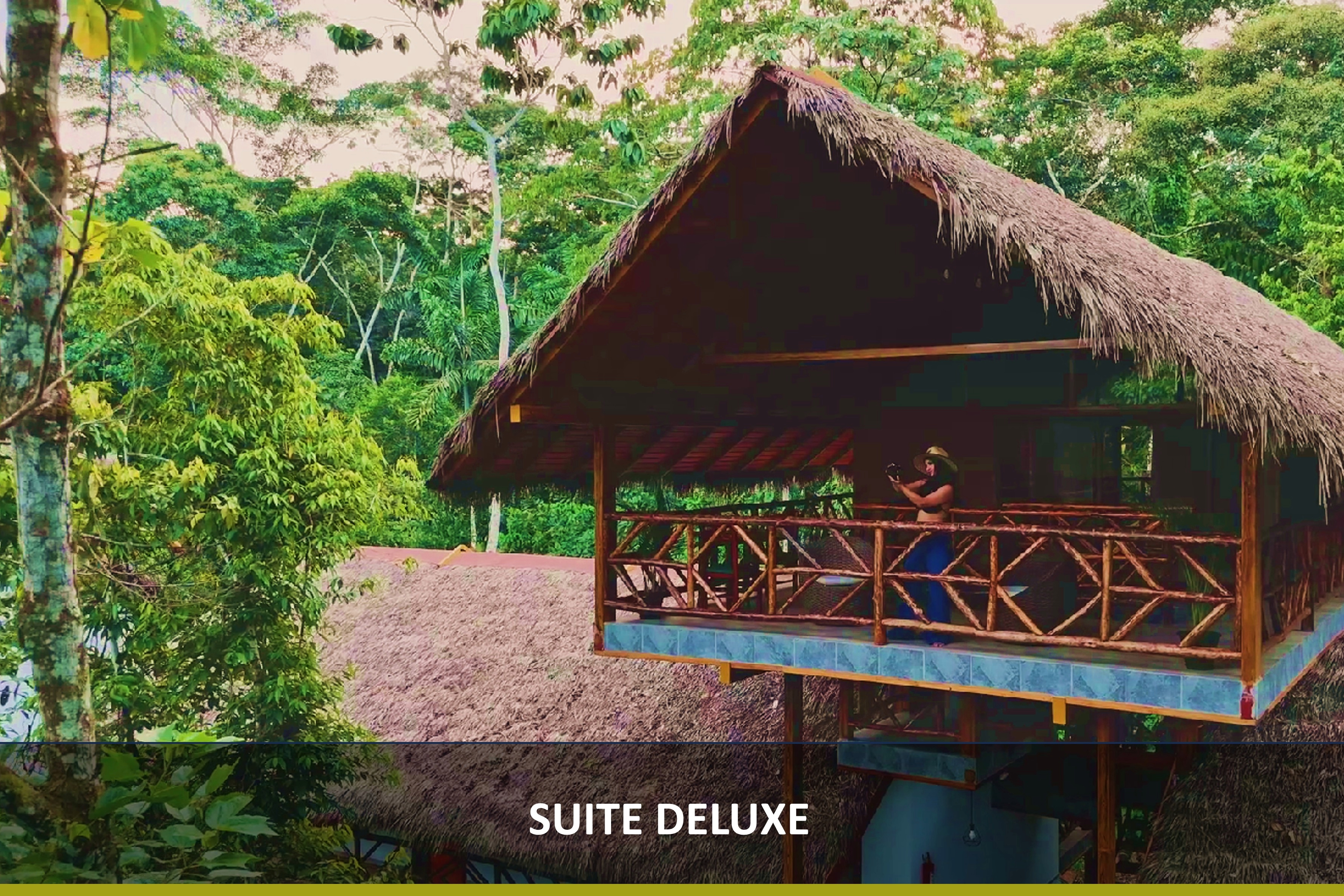 SCENIC SUITE DELUXE Luxury Amazon Rainforest Accommodation Our Scenic Suites are designed for couples seeking an exclusive Amazon rainforest escape. Each suite offers breathtaking jungle views and a private jacuzzi, the perfect spot to relax after a day of adventure. With elegant design inspired by native architecture, these suites combine comfort and nature for an unforgettable stay at our Ecuador Amazon lodge.