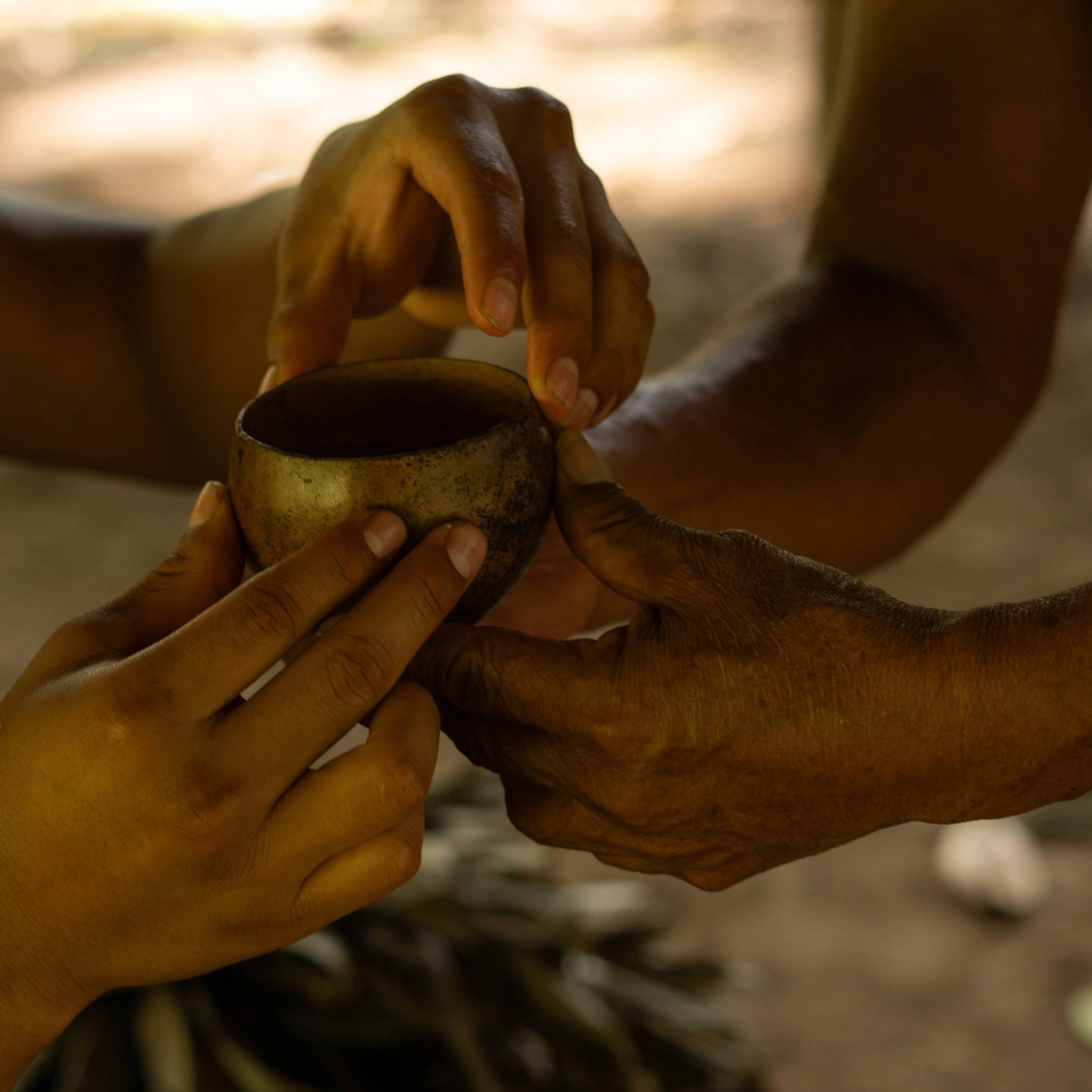 AYAHUASCA CEREMONY ECUADOR