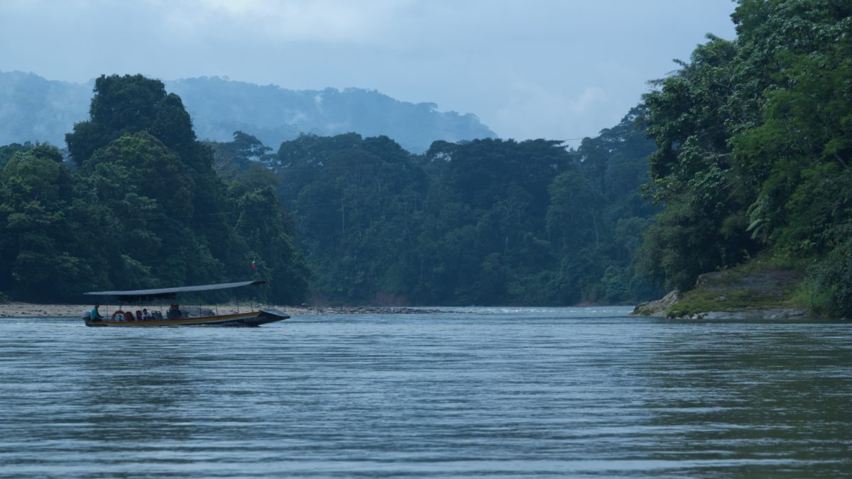 Black Caiman Lagoon Navigation