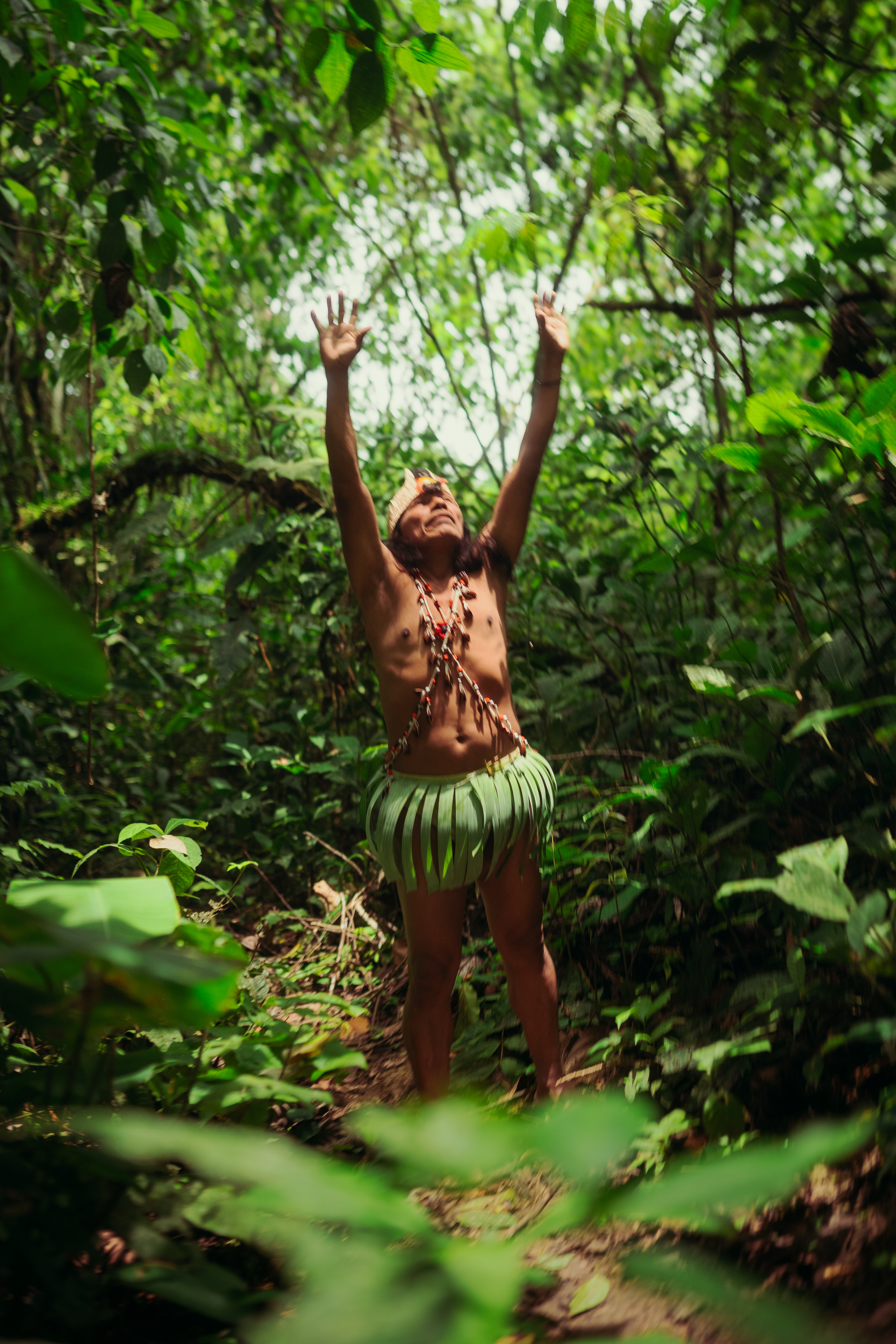 AYAHUASCA CEREMONY PROGRAM INCLUDED: AYAHUASCA CEREMONY PROGRAM INCLUDED: