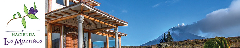 hotel banners