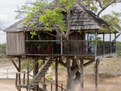 Casa da Árvore do Hotel Fazenda Curió