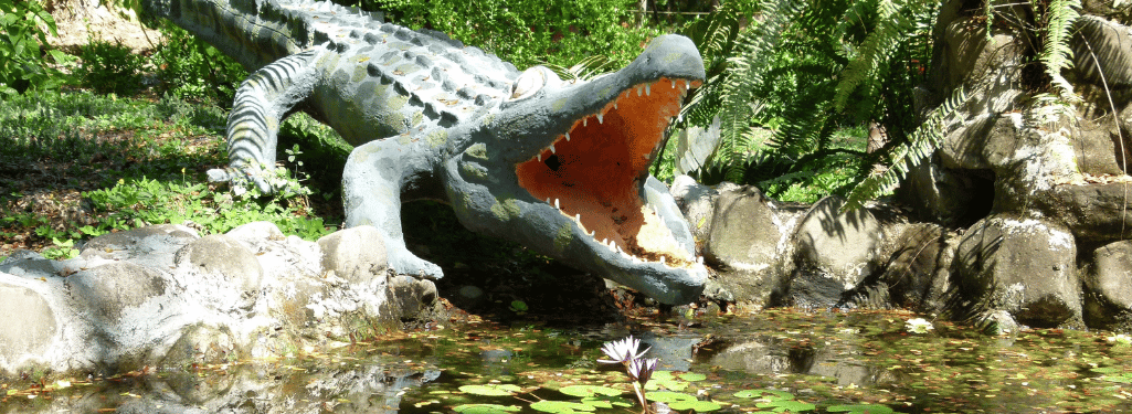 Nicoya Silvestre - Banner