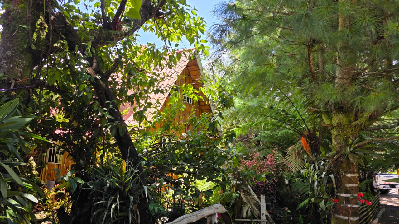 Hostal El Pital Lecho de Flores - Banner