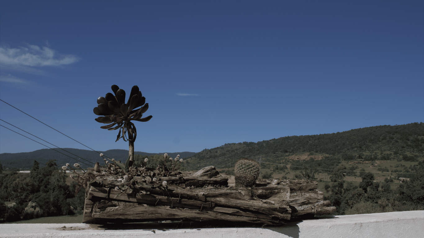 Agriturismo La Toscanía Tapalpa - Banner