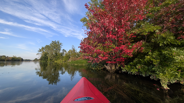 Fall colour at Creekside Bed & Breakfast