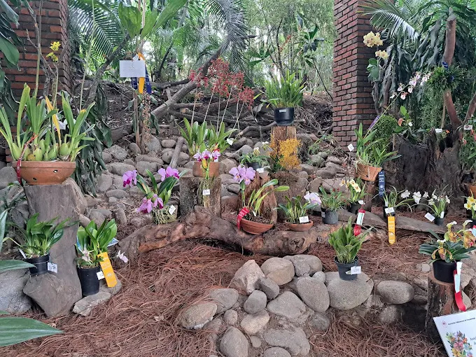 Floral Exhibition