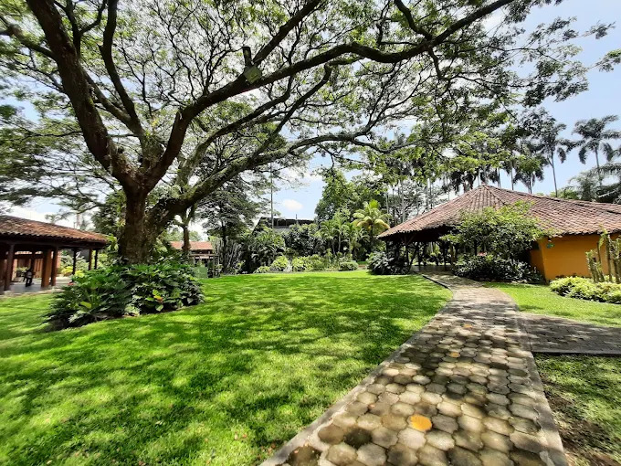 Botanical Walk
