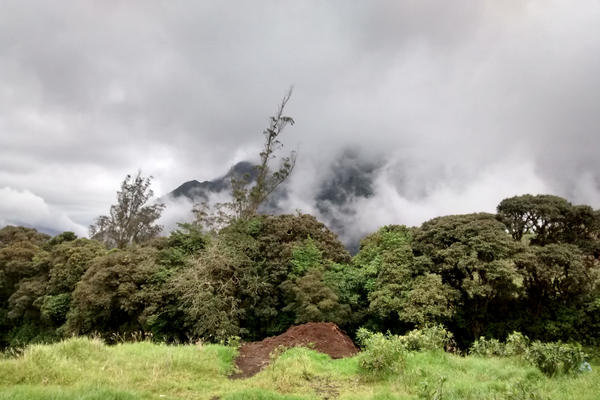 Ulba Paisaje 3
