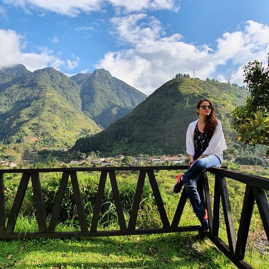 Volcano Viewpoint