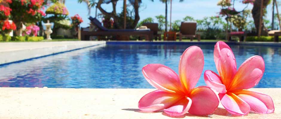Frangipani Beach Hotel - Banner