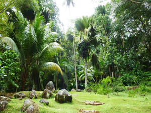 Le Jardin Du Roi Spice Garden