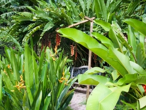 Kot Man-Ya Exotic Flower Garden