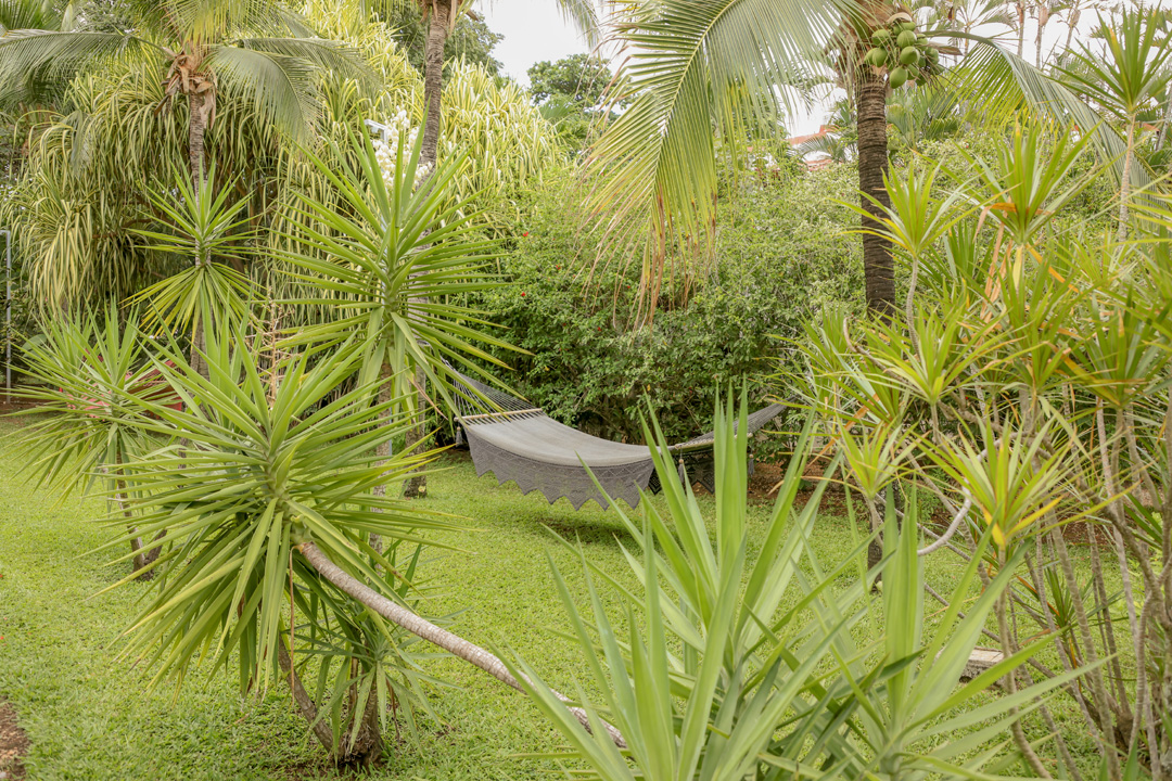 Hammock in the garden at Villa del Sol