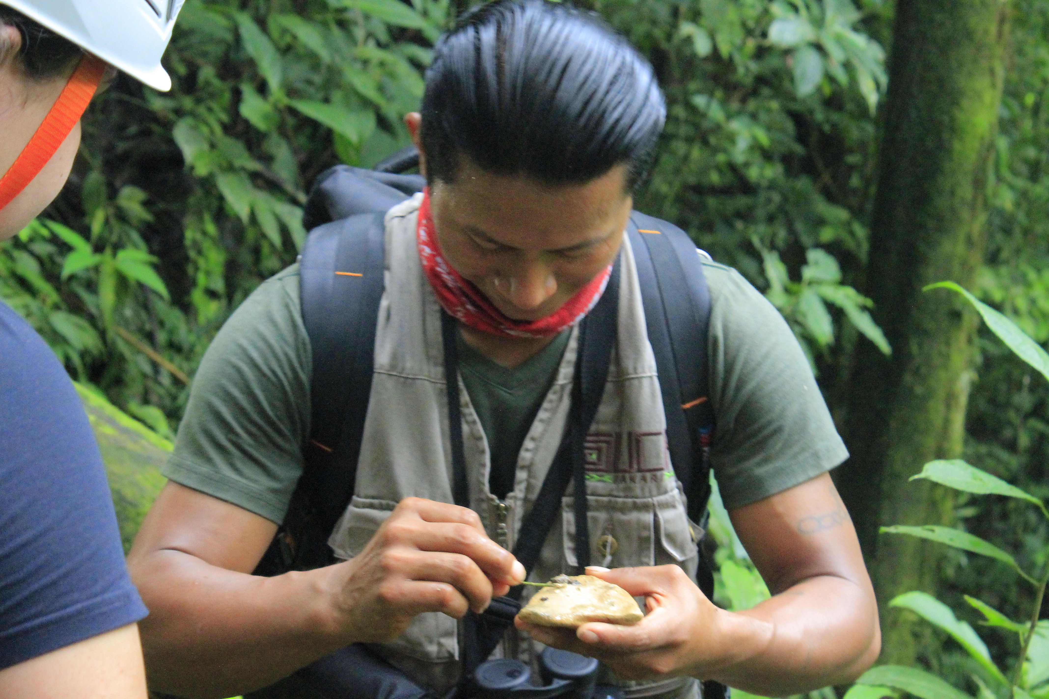 AMAZON ESSENCE The Ecuadorian Amazon is one of the most accessible regions in South America, and this program is a perfect introduction. Over two full days, immerse yourself in the lush tropical jungle and experience the vibrant Kichwa culture along the Napo River. Every moment is designed to be unforgettable, offering an intense and authentic Amazon adventure.