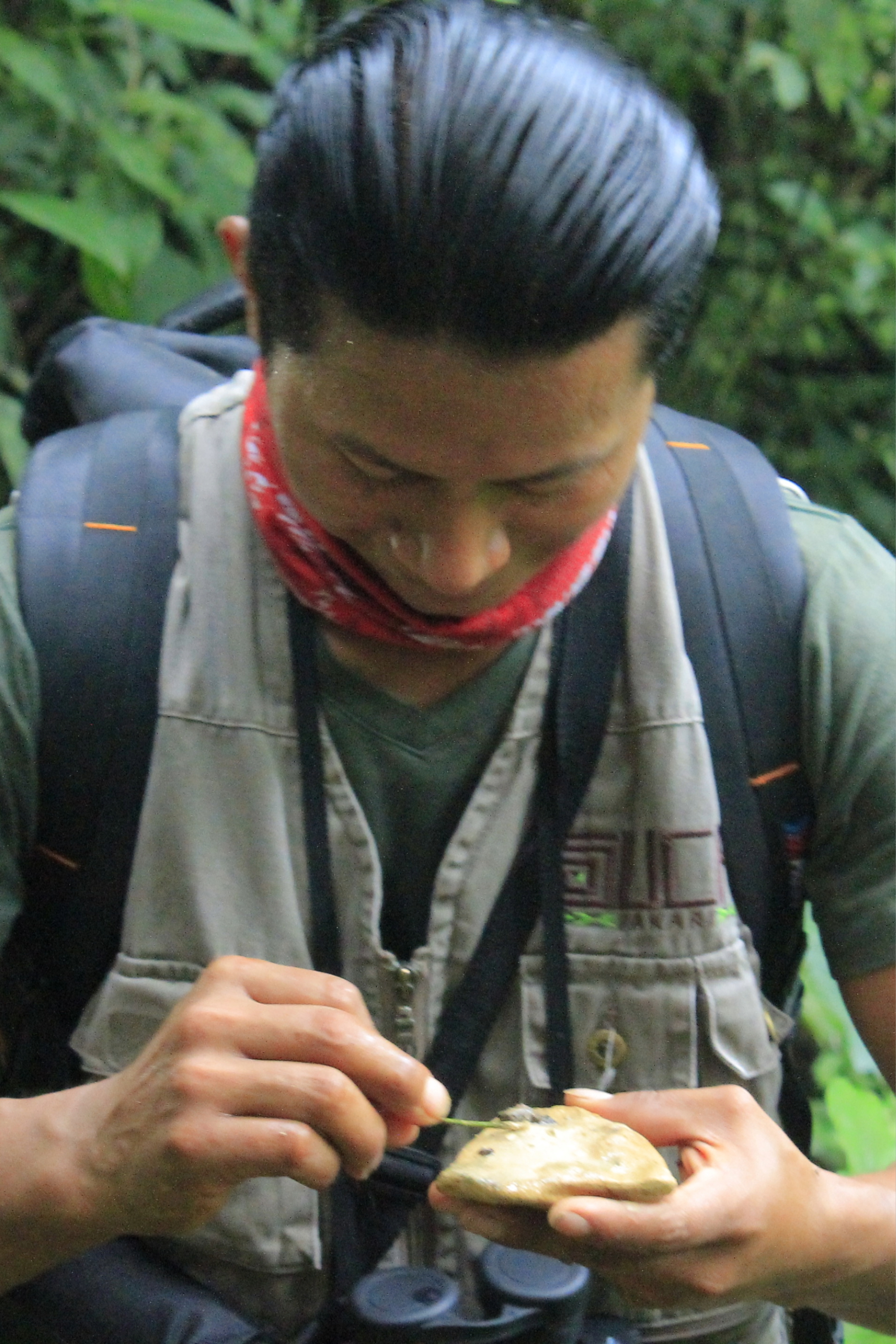 Day 1 – Arrival & First Encounter with the Jungle