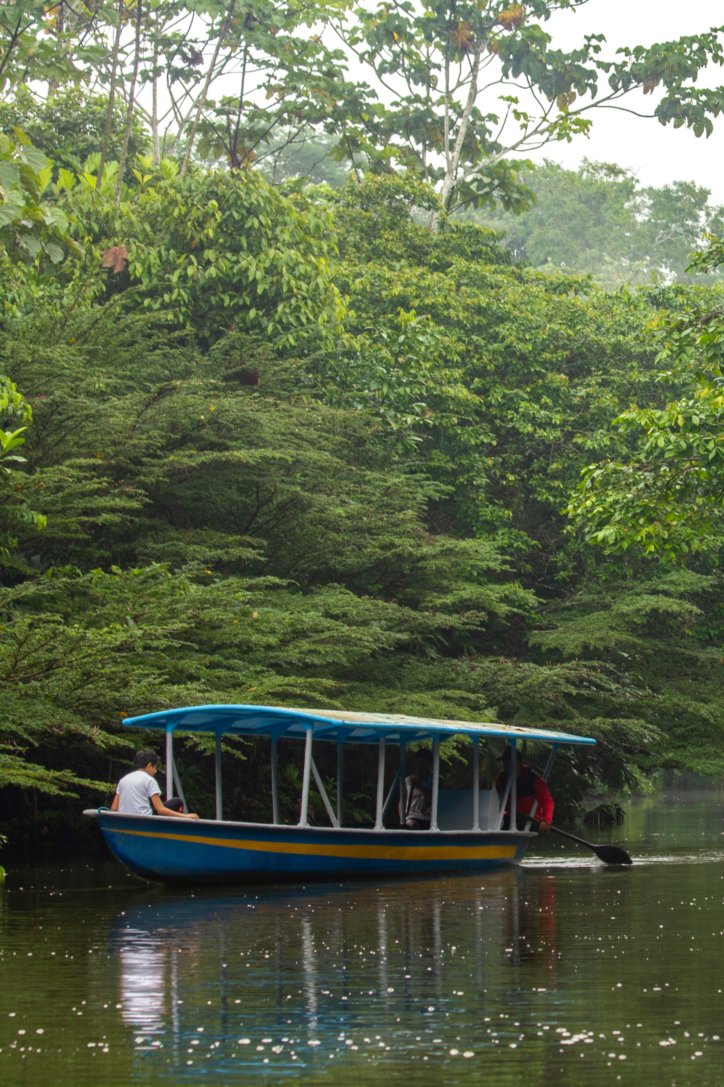 Day 2 – Wildlife & Culture of the Amazon
