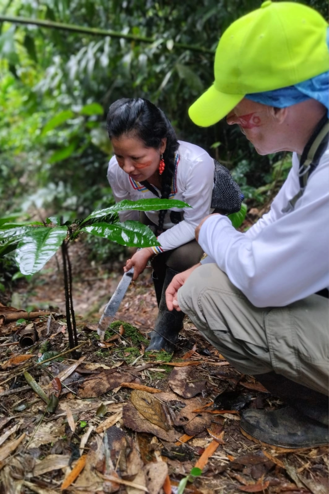 Day 1 – Arrival & First Encounter with the Jungle