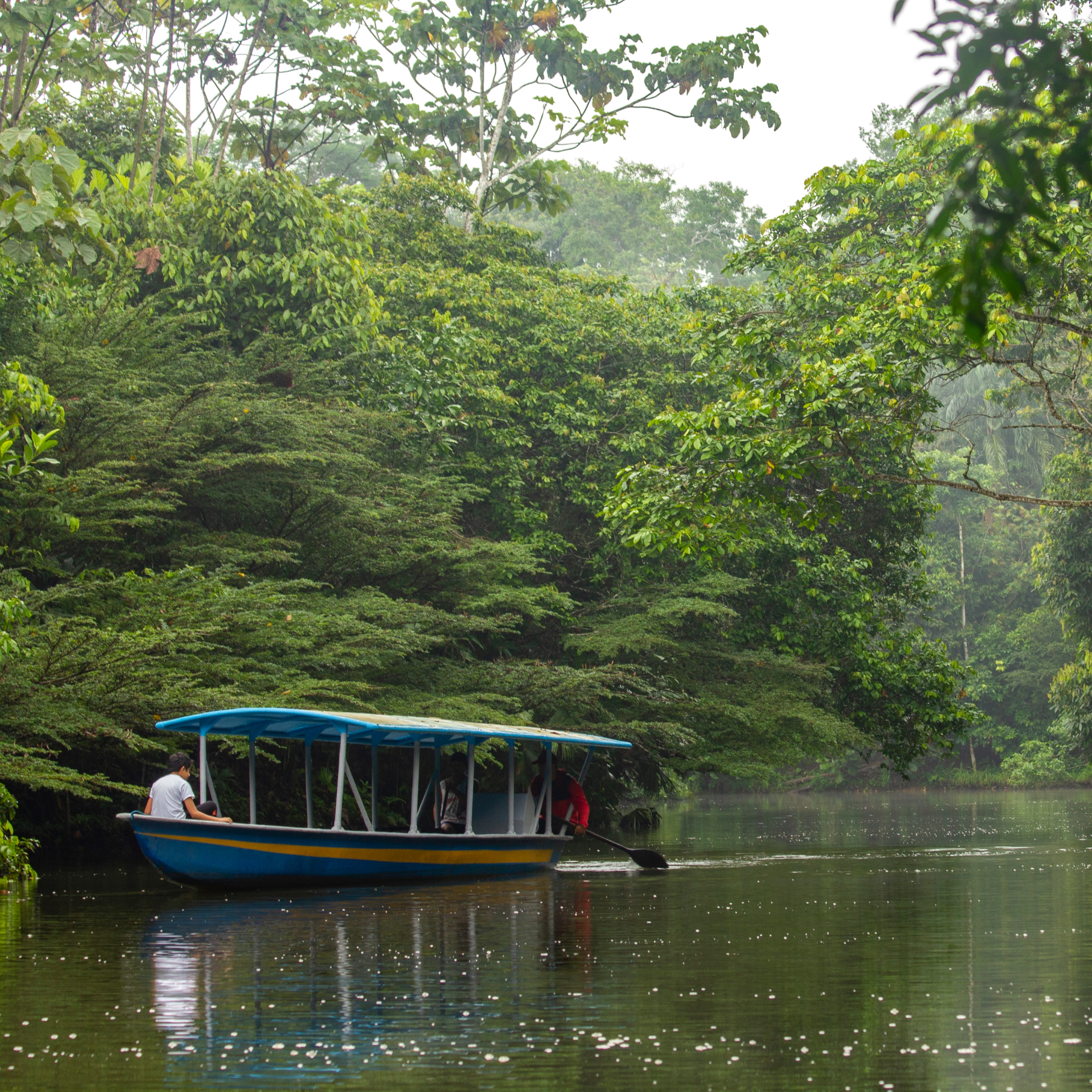 Amazon Culture & Adventure Begin your day with a jungle hike to the Latas Waterfall, followed by a box lunch amid the rainforest. Visit a Kichwa community to learn about ancient traditions, dances, and local crafts, and stop at Monkey Beach to observe playful wildlife.
