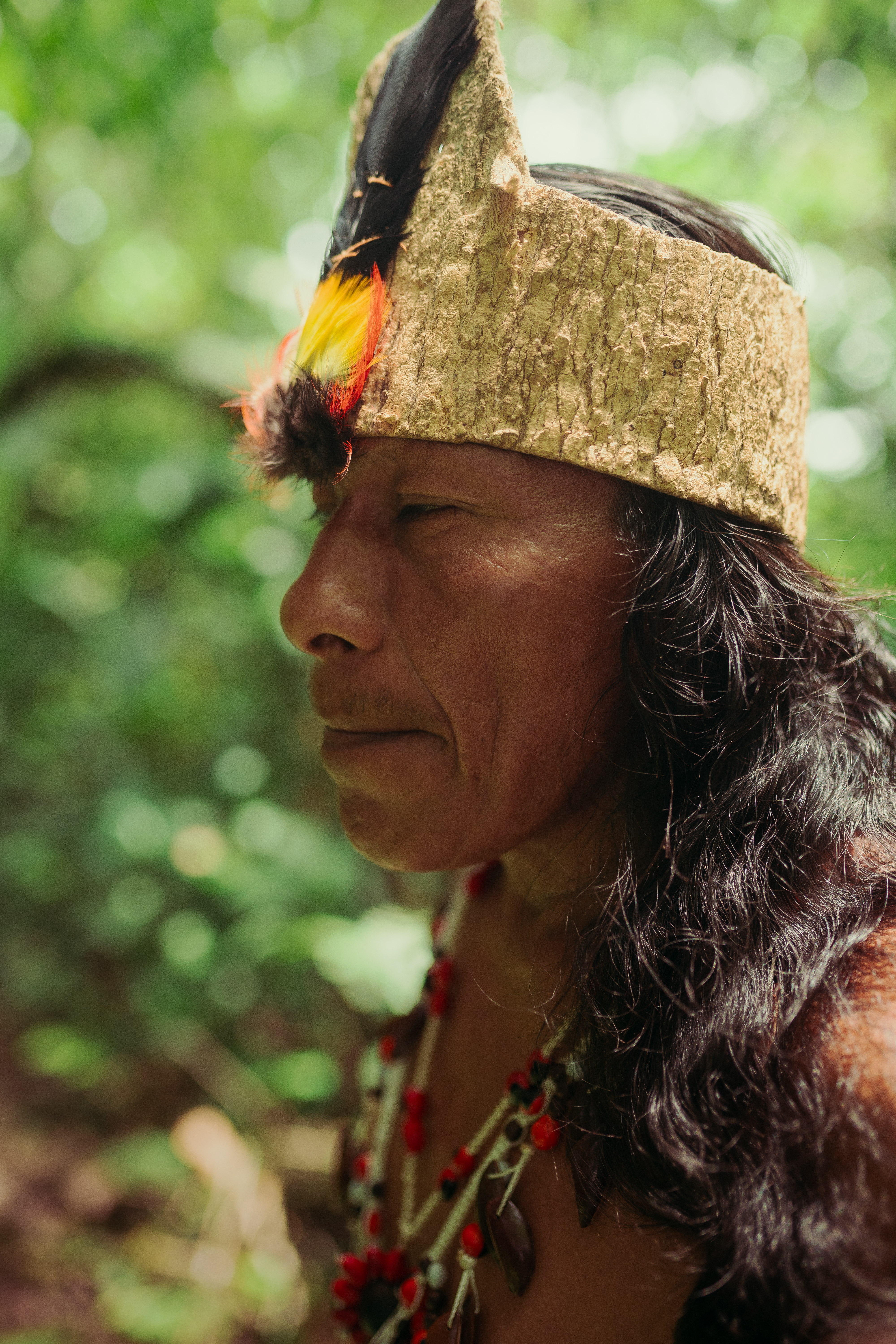 AYAHUASCA CEREMONY PROGRAM INCLUDED: