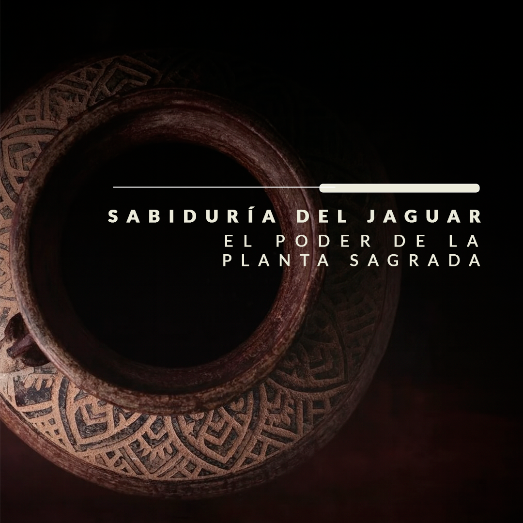 Monkeys, medicinal plants, beaches, and forest... What more could you ask for?