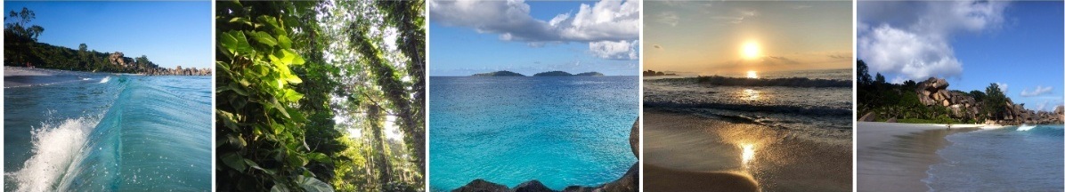 Beaches and Nature - Bois d'amour - La Digue - Seychelles