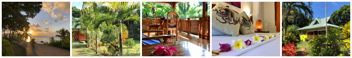 Bike Rental - Bois d'Amour - La Digue