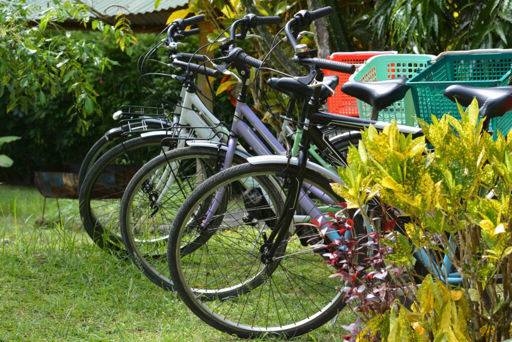 Bike Rental - Bois d'Amour - La Digue