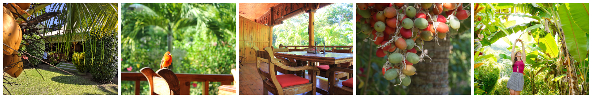 Breakfast - Bois d'Amour - La Digue