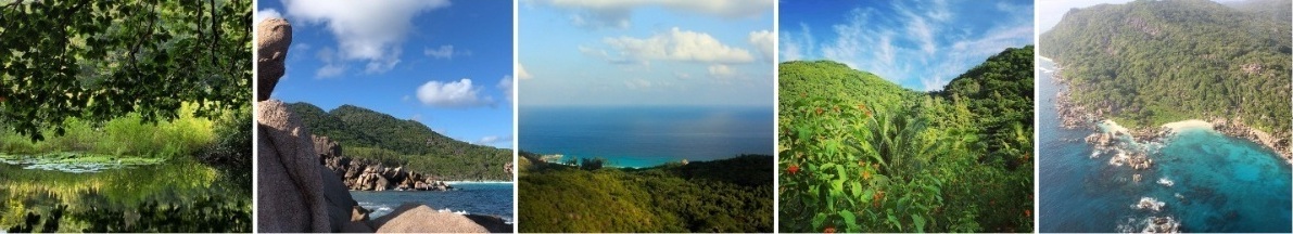 Hike - Bois d'amour - La Digue - Seychelles