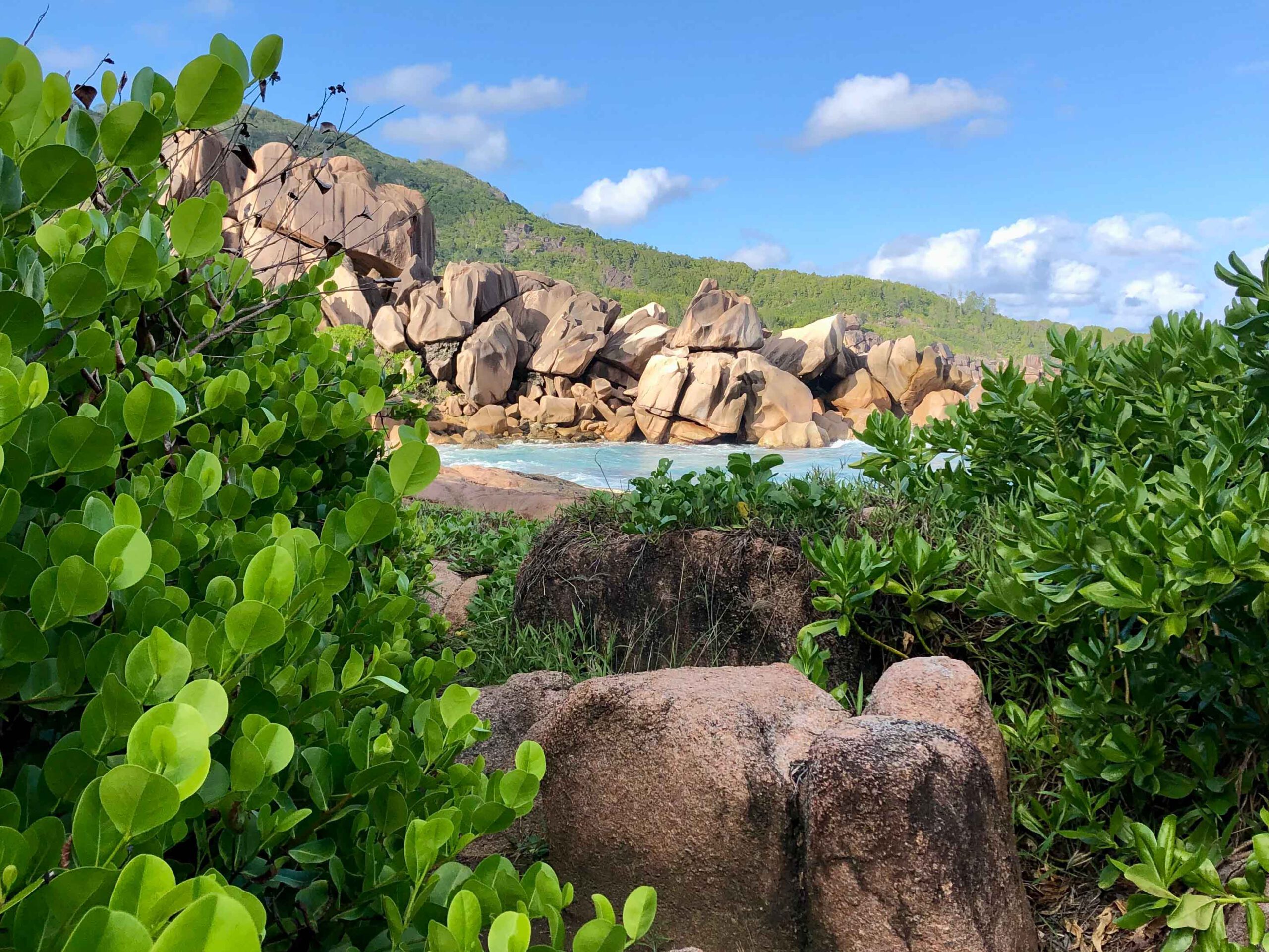 Hike - Bois d'amour - La Digue - Seychelles