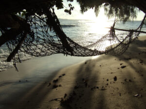 Location - Bois d'amour - La Digue - Seychelles