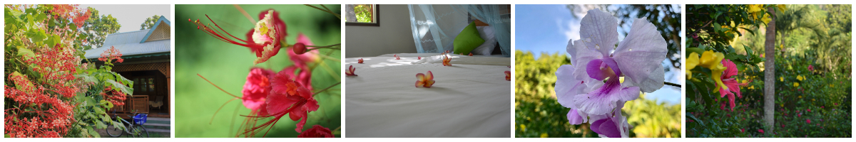 Laundry Service - Bois d'Amour - La Digue