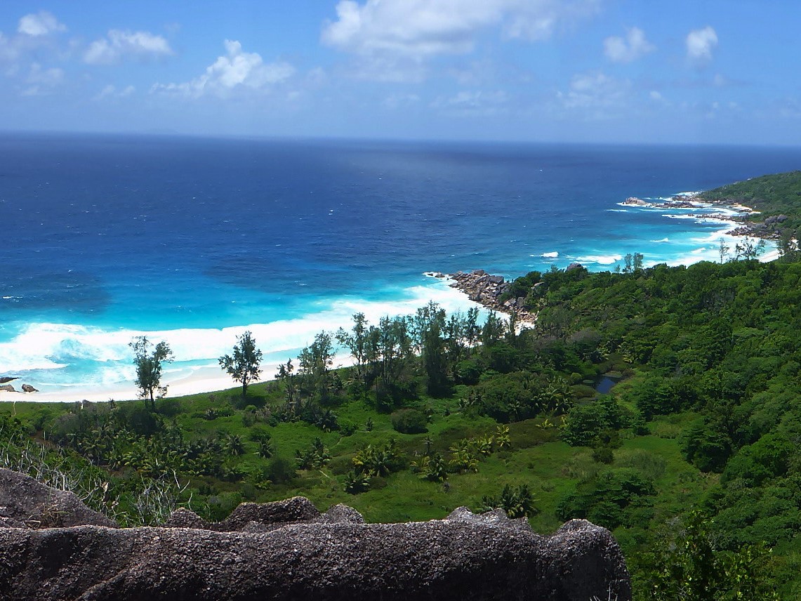 Island time - Bois d'amour - La Digue - Seychelles
