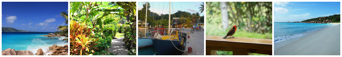 Transfer - Bois d'Amour - La Digue
